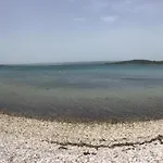 דירה Lipovac Ficus *