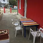 Lipovac Ficus ביליצה