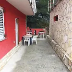 Lipovac Ficus ביליצה