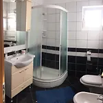 Lipovac Ficus * ביליצה