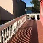 Lipovac Ficus ביליצה