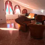 Lipovac Ficus * ביליצה