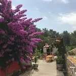 Lipovac Ficus דירה *