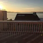 Lipovac Ficus * ביליצה