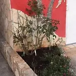 Lipovac Ficus דירה *