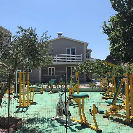 Apartman Lipovac Ficus