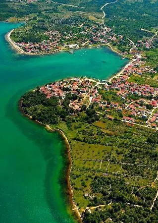 Apartament Lipovac Ficus