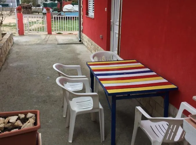 Lipovac Ficus Bilice