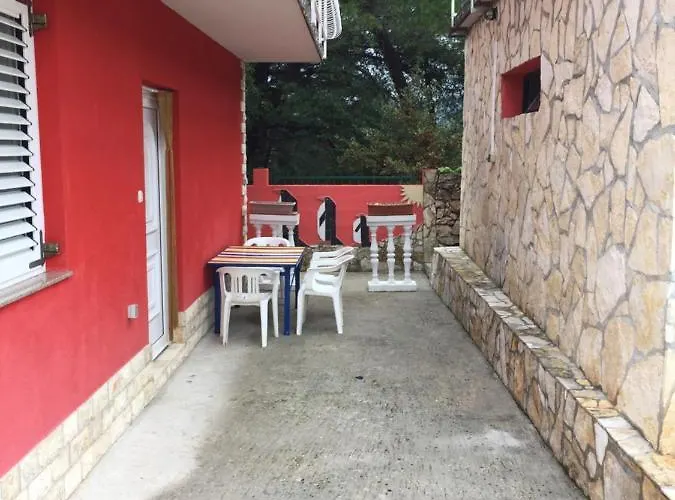 Lipovac Ficus 빌리제