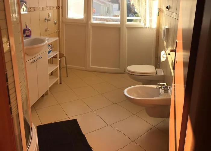 Apartman Lipovac Ficus *