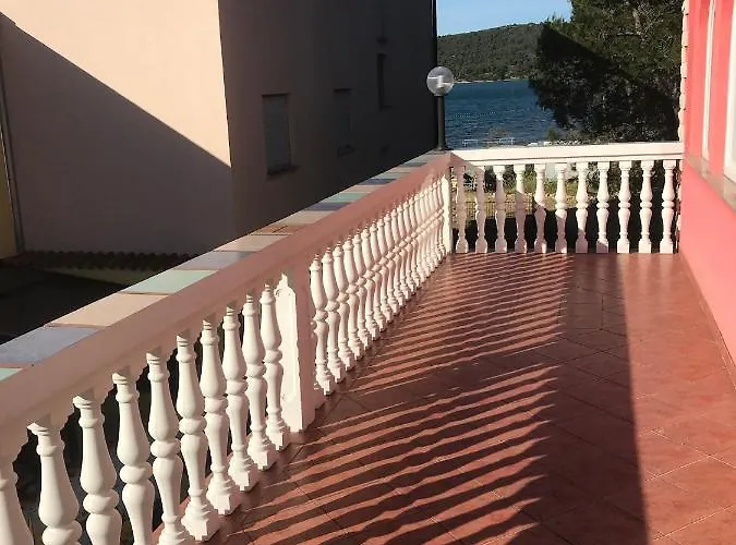 Lipovac Ficus Bilice