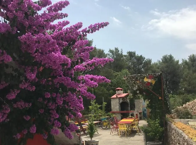 Lipovac Ficus Apartment *