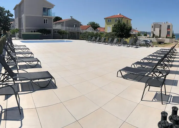 Lipovac Ficus * 빌리제