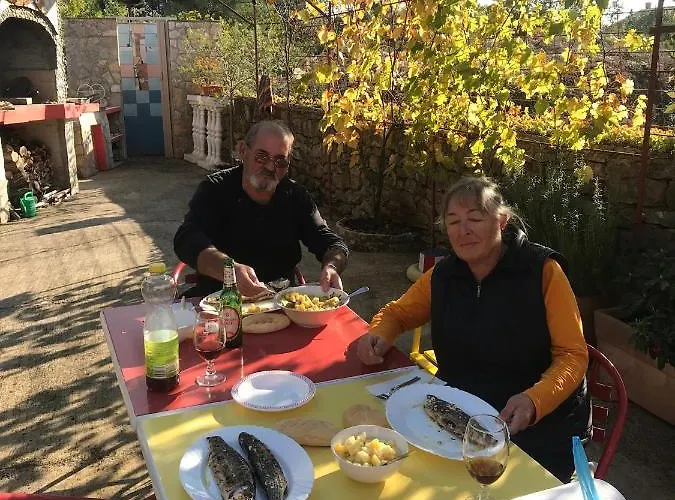 Lipovac Ficus Appartement *