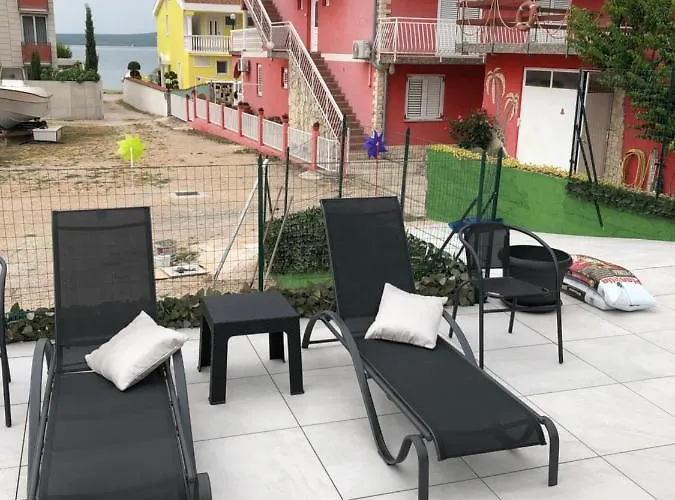 Lipovac Ficus Bilice