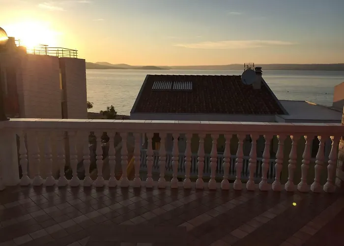 Lipovac Ficus * 빌리제