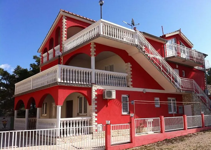 Lipovac Ficus Bilice